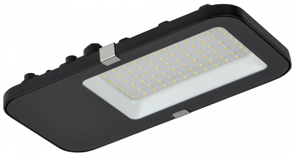 Светильник LED консольный уличный ДКУ 4002 60Д 5000К IP65 GENERICA